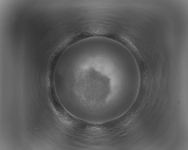 X0000075360635200609151638