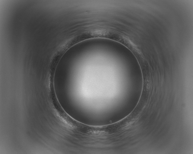 X0000075360637200609151638