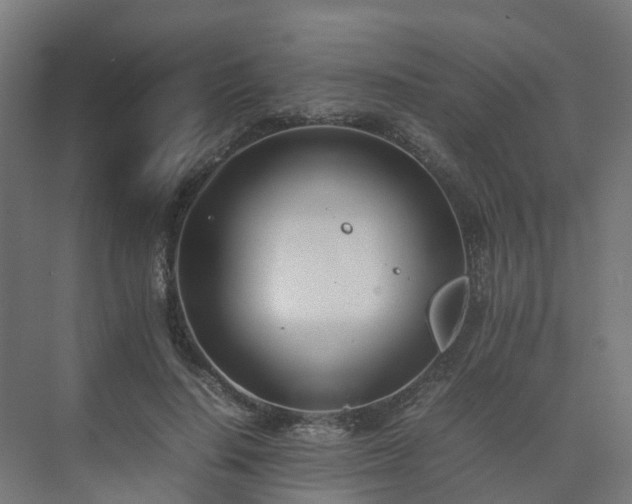 X0000075360644200609151638