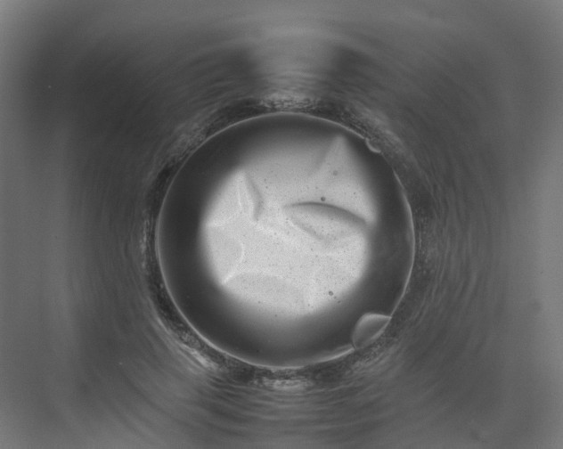 X0000075360645200609151638