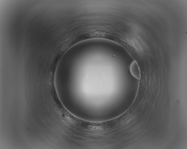 X0000075360649200609151638