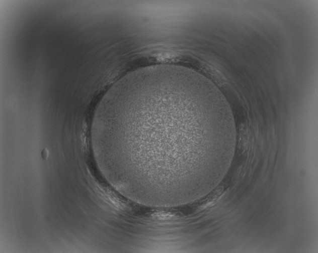 X0000075360650200609151638