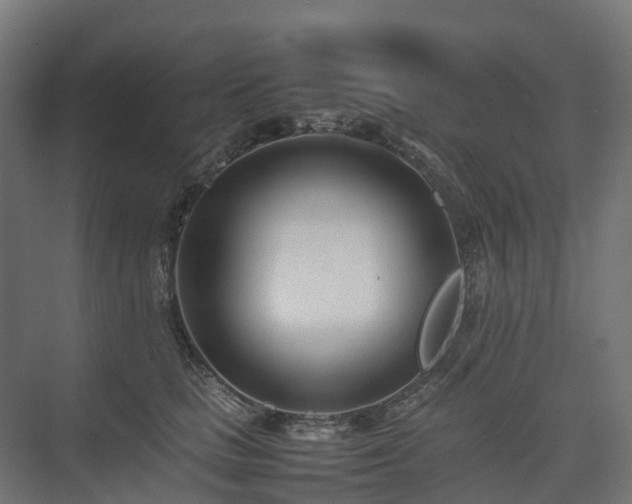 X0000075360661200609151638