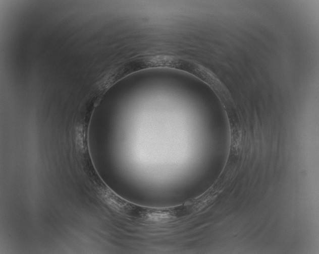 X0000075360669200609151638