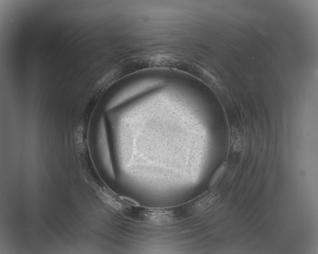 X0000075360670200609151638