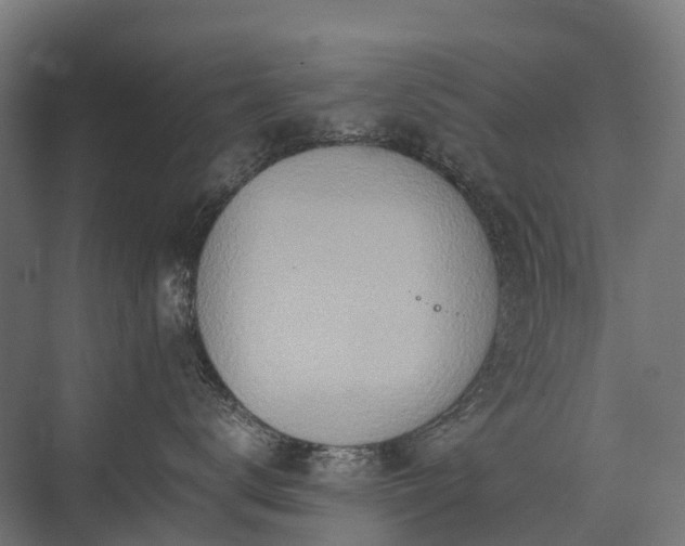 X0000075360672200609151638