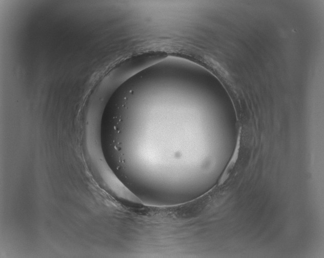 X0000075360673200609151637