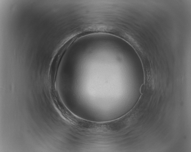 X0000075360674200609151637