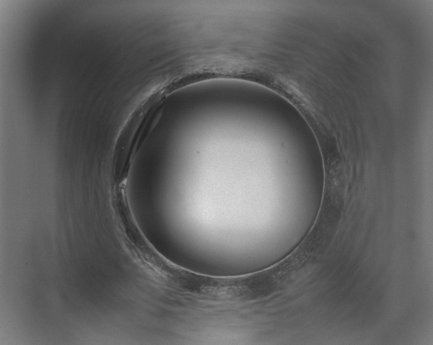 X0000075360679200609151637