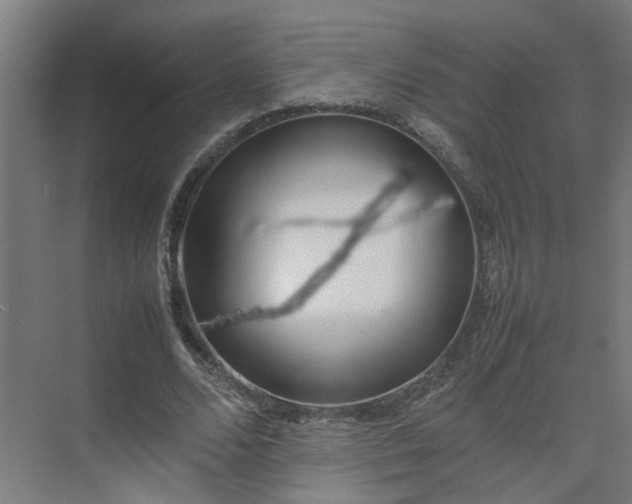 X0000075360680200609151637