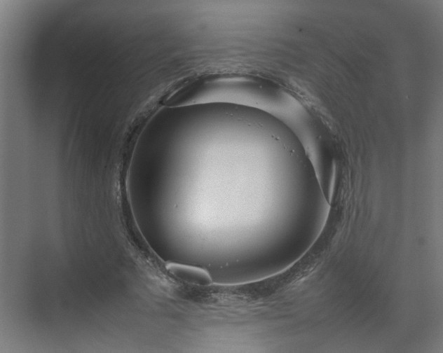 X0000075360681200609151637