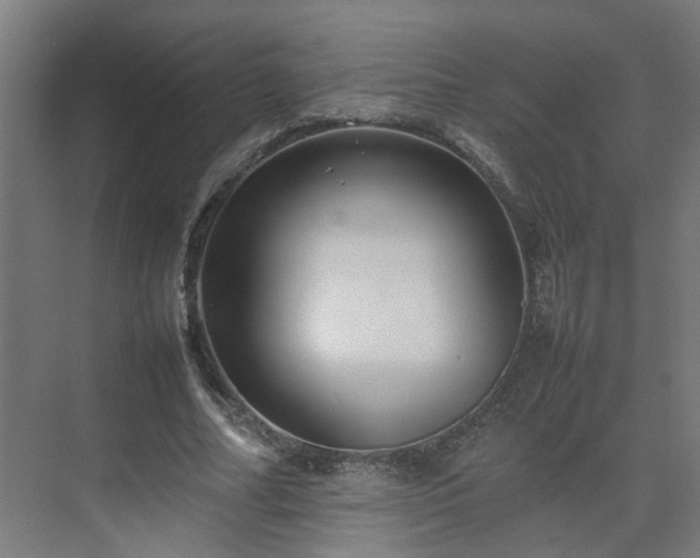 X0000075360682200609151637