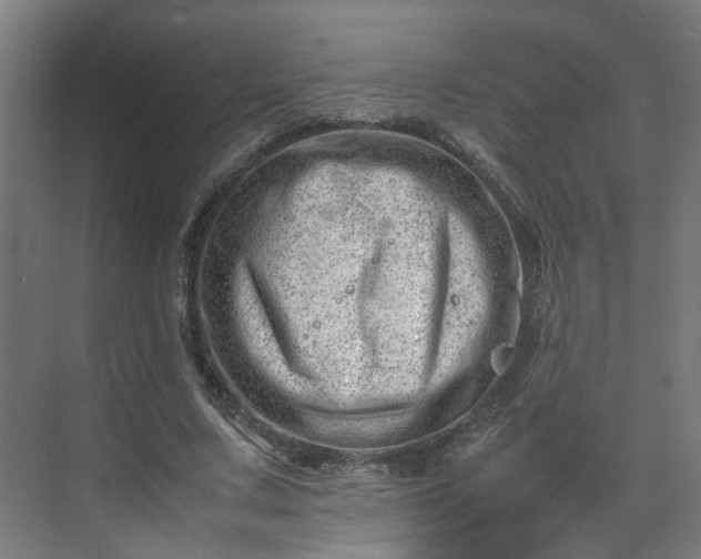 X0000075360683200609151637