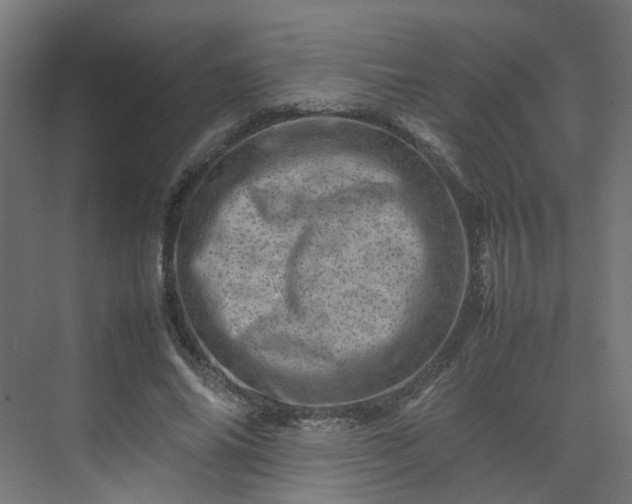 X0000075360686200609151637