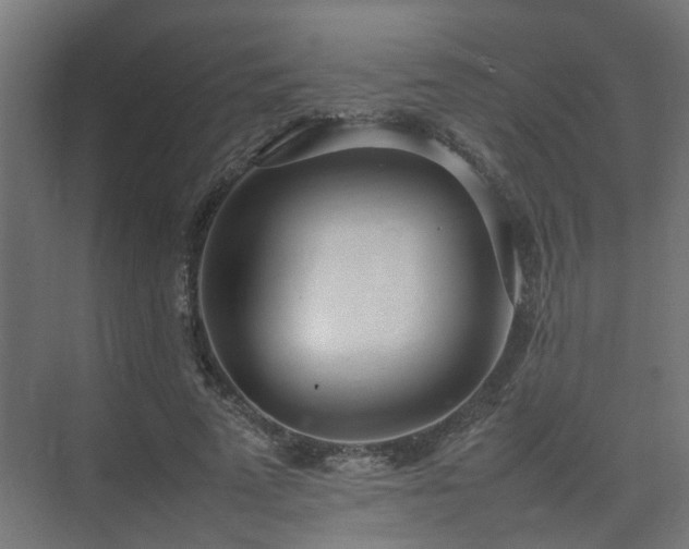 X0000075360689200609151637