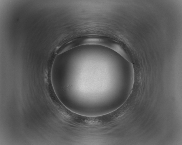 X0000075360693200609151637