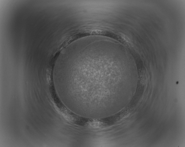 X0000075360695200609151637