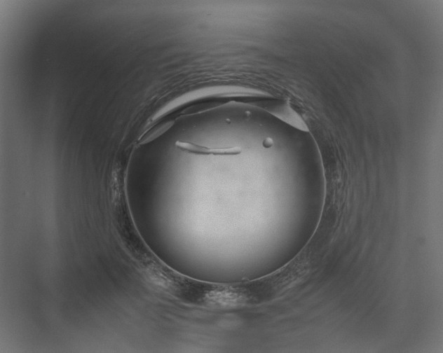 X0000075360699200609151637