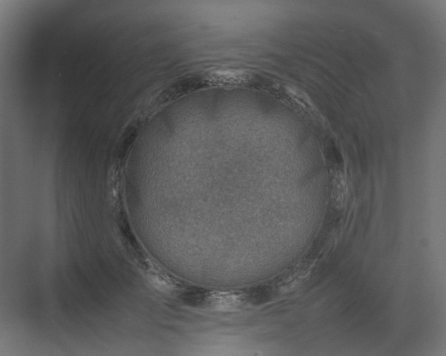 X0000075360701200609151637