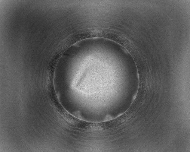 X0000075360702200609151637