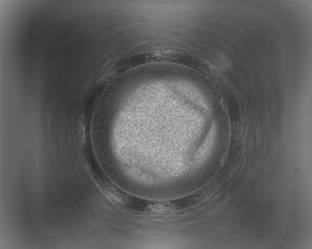 X0000075360703200609151637