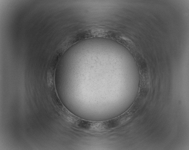 X0000075360705200609151637