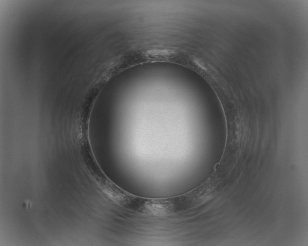 X0000075360706200609151637