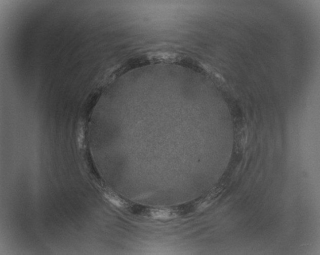 X0000075360709200609151637