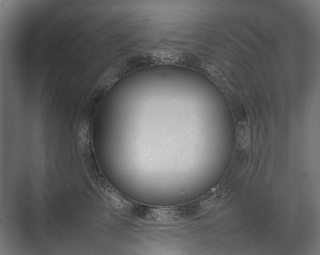 X0000075360713200609151637