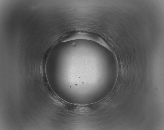 X0000075360716200609151637