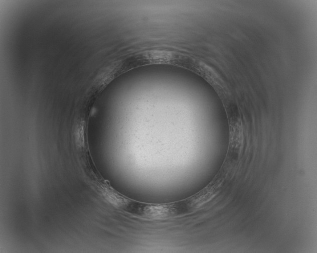 X0000075360717200609151637