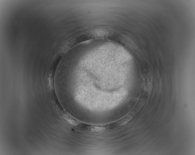 X0000075360718200609151637