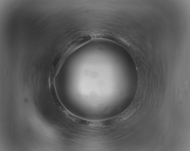 X0000075360720200609151637