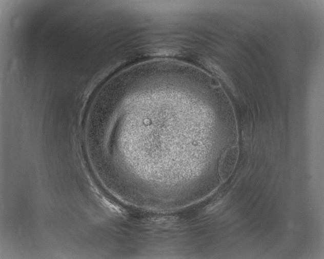 X0000075360721200609151636