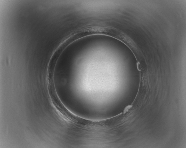 X0000075360722200609151636