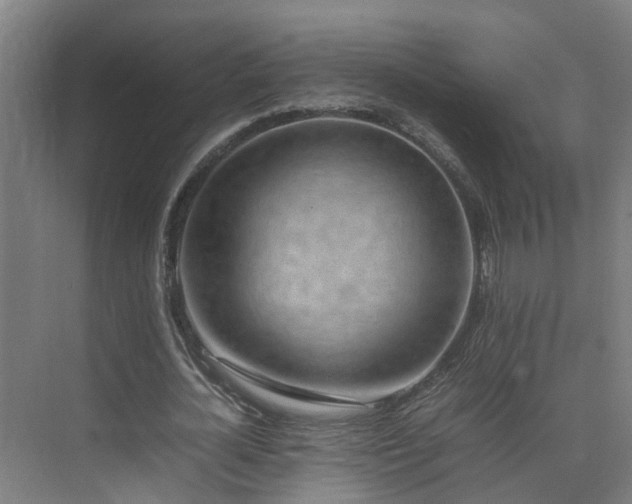 X0000075360724200609151636