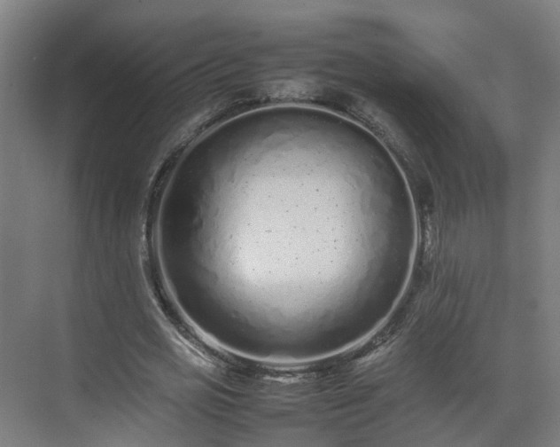 X0000075360725200609151636