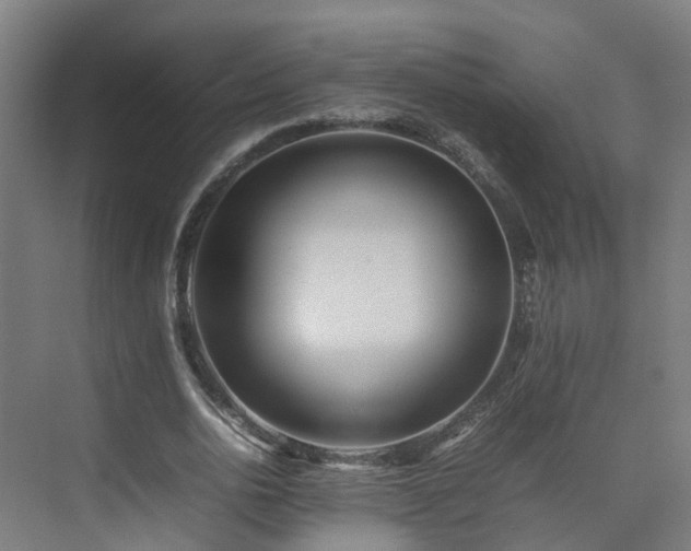 X0000075360726200609151636