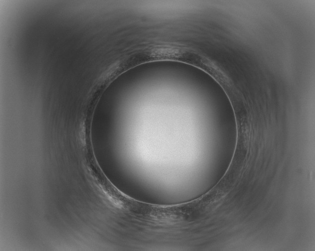 X0000075360729200609151636