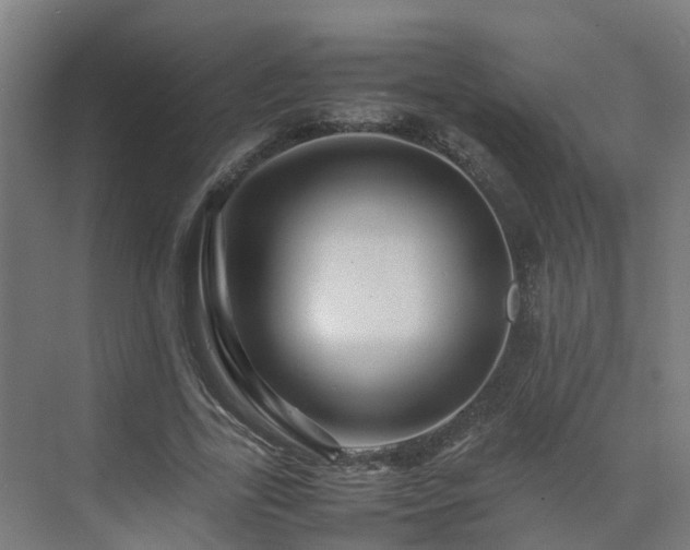 X0000075360731200609151636