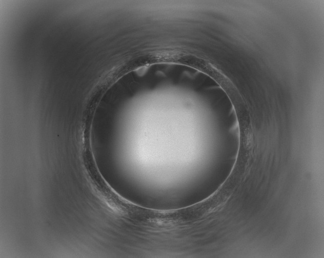 X0000075360733200609151636