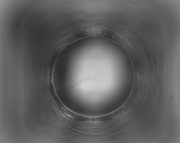 X0000075360745200609151636