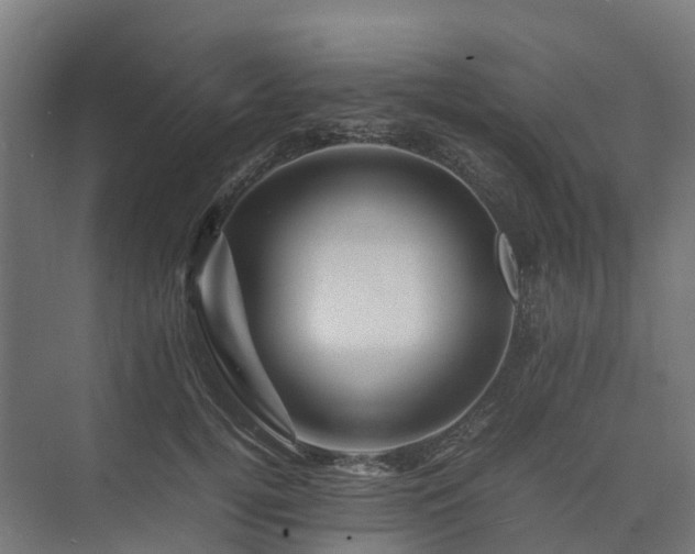 X0000075360752200609151636