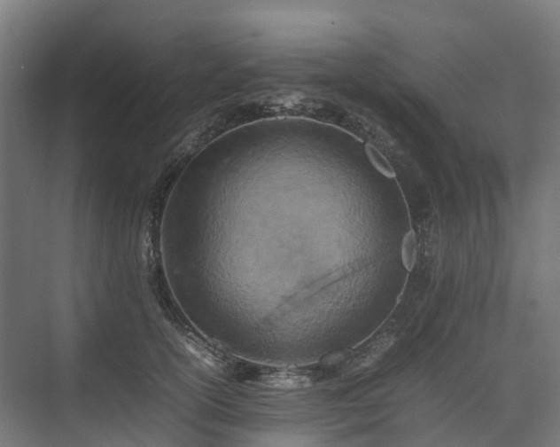 X0000075360754200609151636