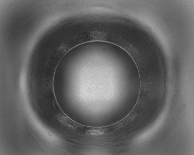 X0000075360765200609151637