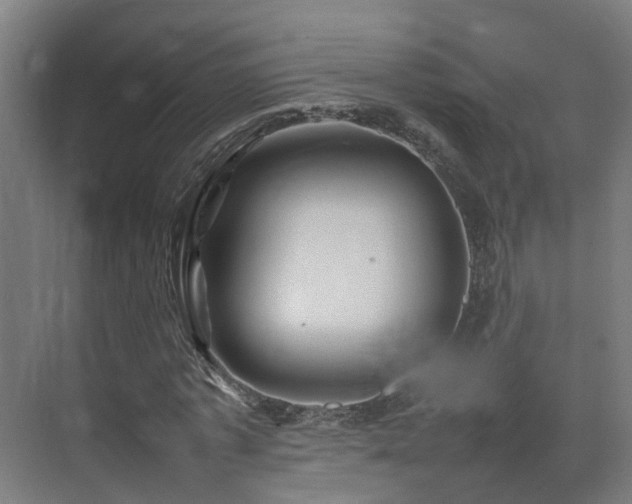 X0000075360773200609151636