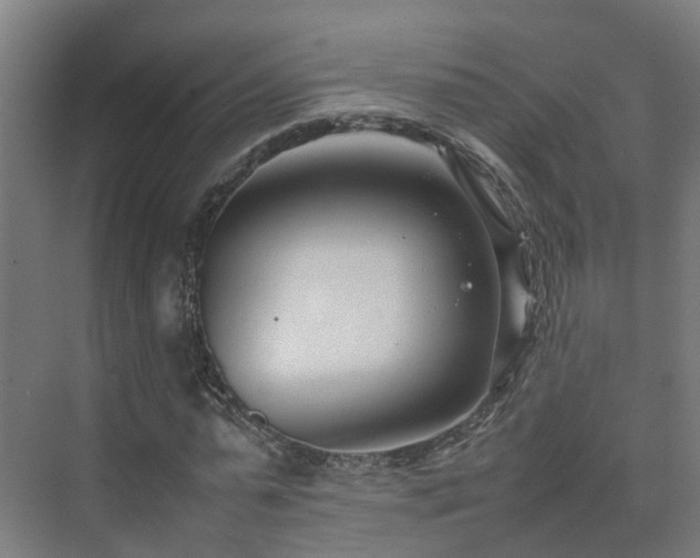 X0000075360775200609151636