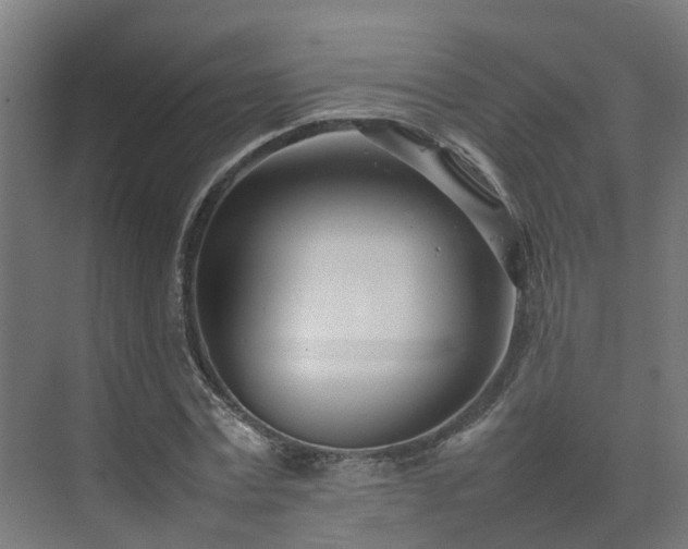 X0000075360779200609151636