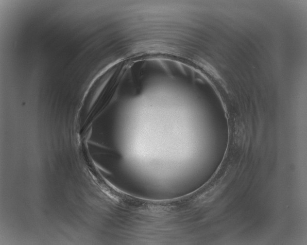 X0000075360782200609151636