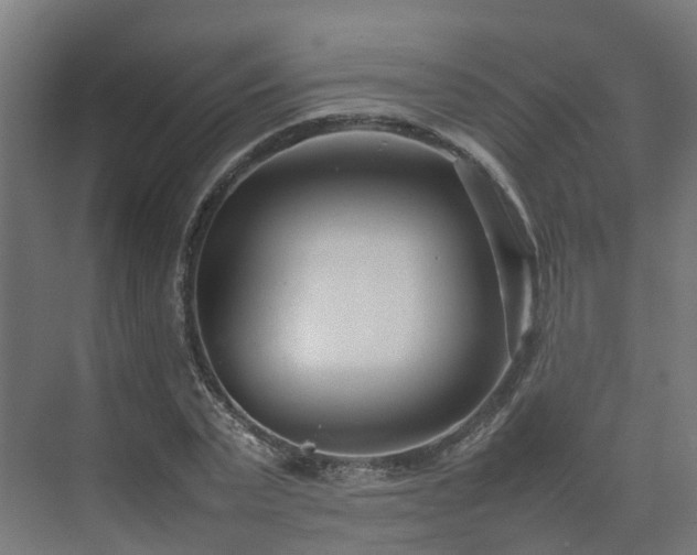 X0000075360783200609151636